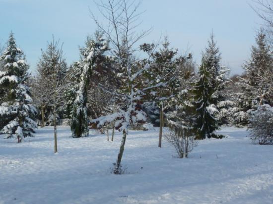 HIVER 2010-2011