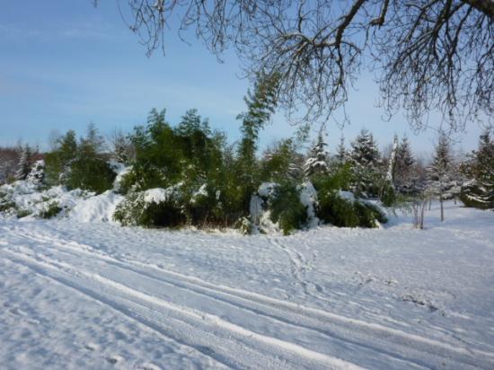 HIVER 2010-2011