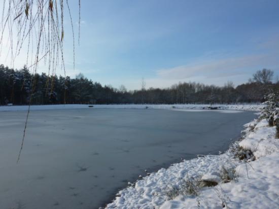 HIVER 2010-2011