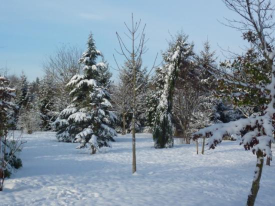 HIVER 2010-2011