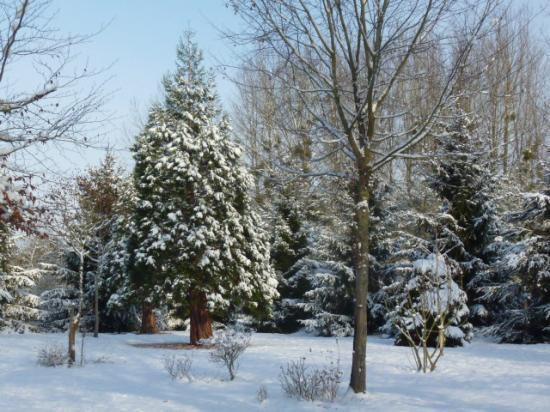 HIVER 2010-2011