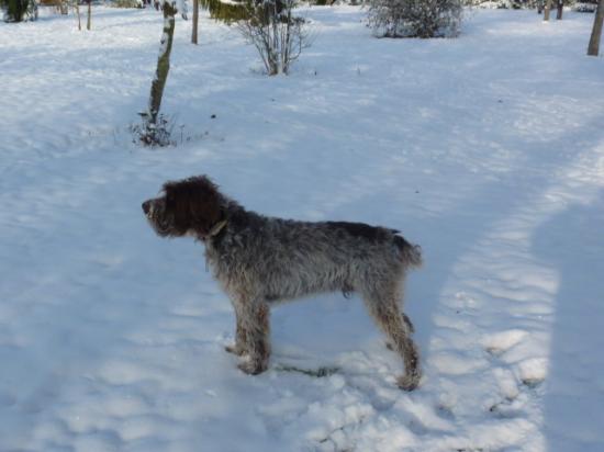 HIVER 2010-2011