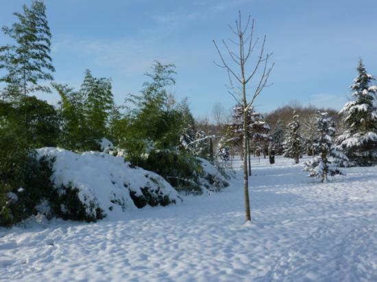 HIVER 2010-2011