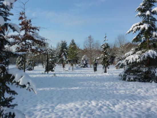 HIVER 2010-2011