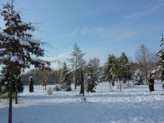 HIVER 2010-2011