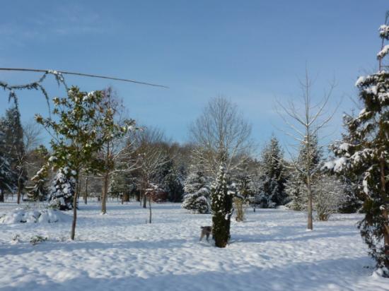 HIVER 2010-2011