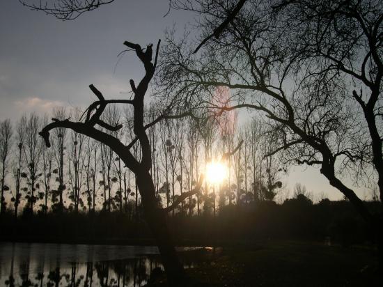 Coucher de soleil en hiver