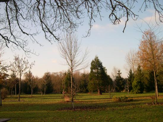 Arboretum en automne