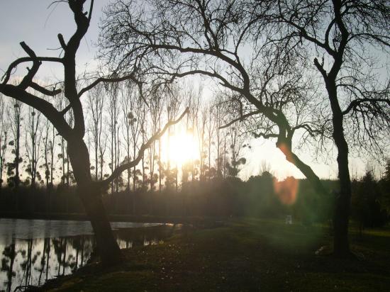 Coucher de soleil en hiver